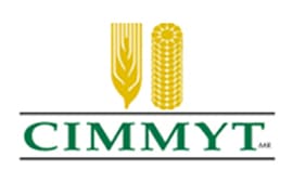International Maize and Wheat Improvement Centre (CIMMYT)